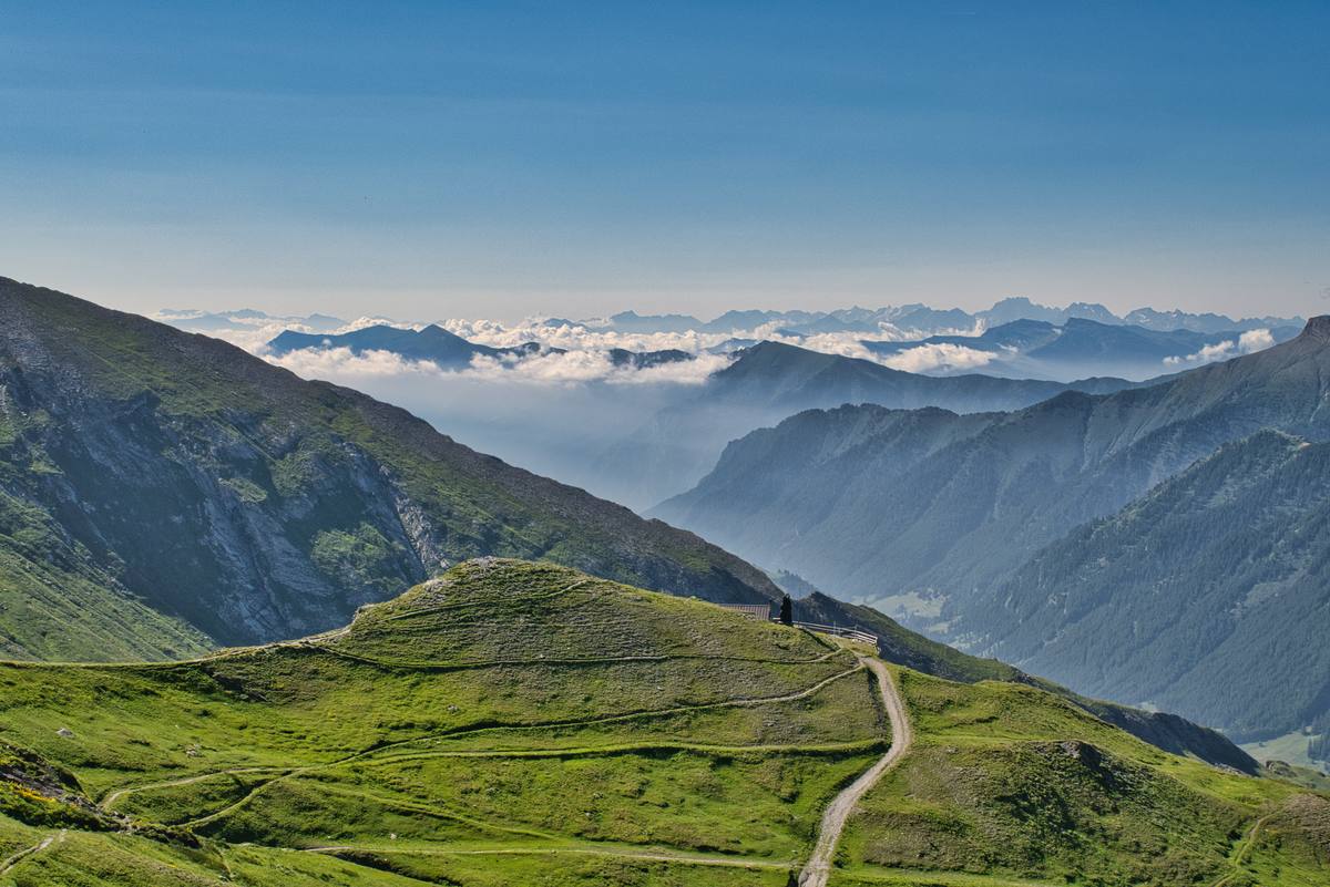 Aussicht über den Wolken auf die Alpen